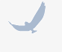 Imagen animada de un águila en vuelo